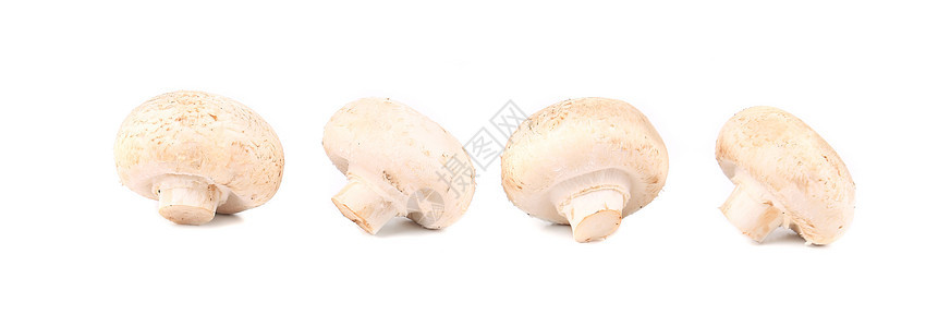 白蘑菇关门了生活蔬菜营养白色宏观背景图片