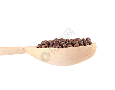 满是松果的木勺子白色针叶松树棕色种子食物坚果水果植物图片