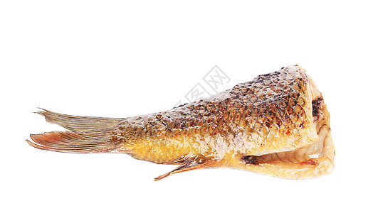 虾尾尾鱼食物鲤鱼午餐海鲜棕色美食白色油炸尾巴图片
