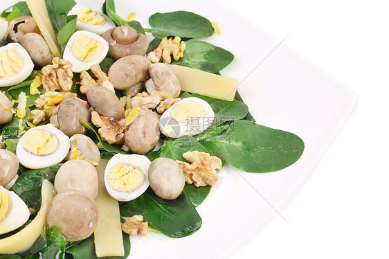 蘑菇沙拉 配有核桃和面粉柠檬蛋黄乳白色菠菜鹌鹑食物蔬菜奶制品营养小吃图片