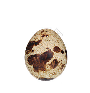 蛋母鸡宏观早餐食物蛋壳鹌鹑季节饮食椭圆形椭圆图片