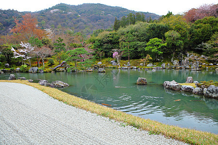 日本花园叶子木头文化热带场景森林环境生长植物群植物图片