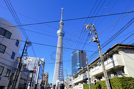东京市风景摩天大楼景观电缆建筑学公寓房子天际住宅建筑晴空塔图片