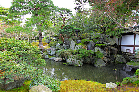 有日本风格的花园图片