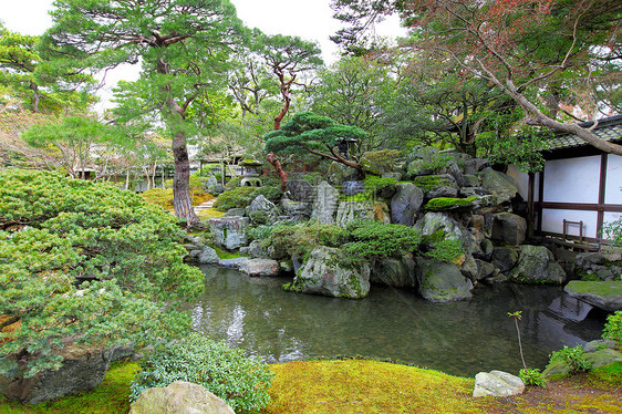 有日本风格的花园图片