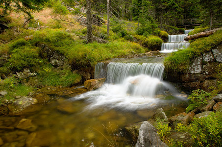 级联岩石木头运动风景公园溪流叶子植物天堂旅行图片