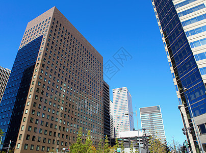 东京商业区东京高楼天空蓝色建筑摩天大楼市中心城市建筑学植物办公室图片