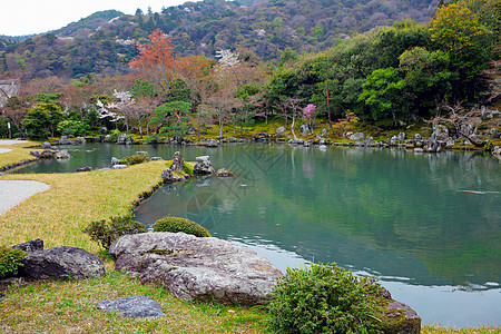 日式日本式花园绿色寺庙公园反射院子植物池塘岩石石头场景图片
