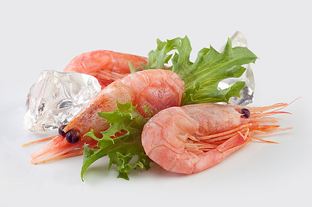 冲刷食物海鲜动物对虾甲壳红色立方体绿色图片
