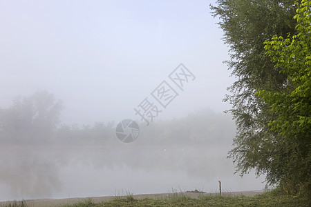 江雾蓝色花园公园天空阴霾森林树木旅行农村衬套图片