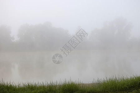 江雾反射公园树木蓝色农村花园森林石头薄雾衬套图片