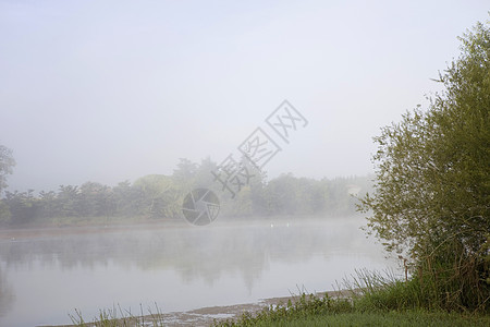 江雾天空树木蓝色衬套森林旅行反射阴霾公园农村图片