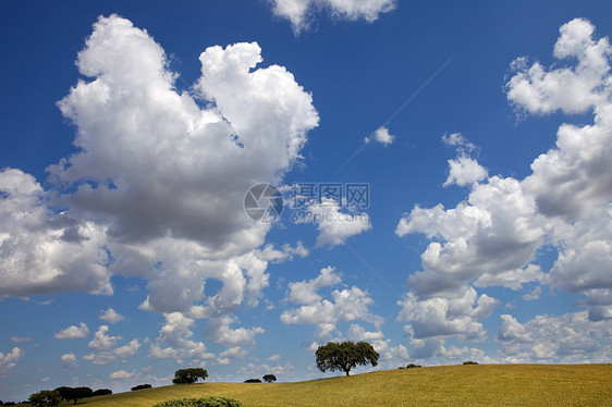 阿伦特霍国家土壤牧场晴天地球风景蓝色场地土地农场图片