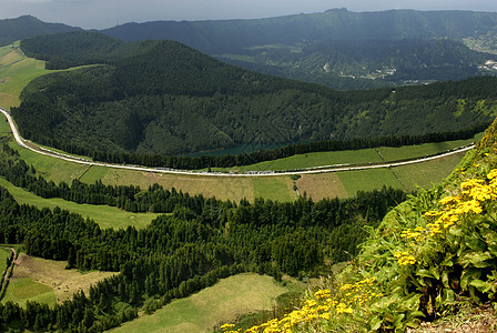 城市区娱乐全景公园烟雾气氛松树环境旅行地球山脉图片