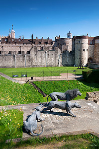 伦敦塔 细节地标白色历史旅游城市城堡英语建筑学历史性建筑图片