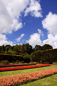 园花园天空花瓣花园灯泡草地公园蓝天植物群蔬菜场地图片