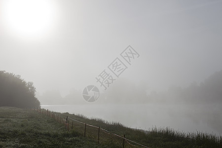 江雾旅行阴霾公园薄雾石头反射树木花园森林场景图片