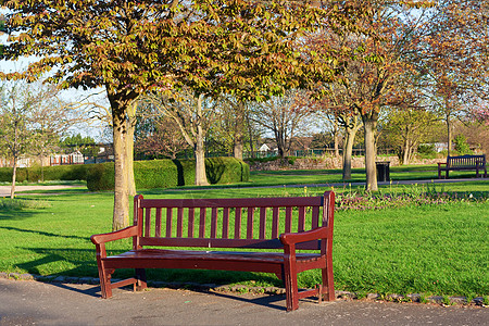 公园的木制公园板凳摄影绿色草地阳光条纹长椅天空人行道灰色户外椅图片