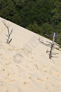 Pyla 南皮拉脚印晴天蓝色旅游闲暇游客脚步地标海岸沙丘图片