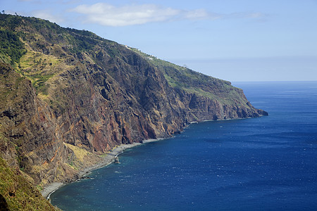 马德拉海滩冲浪动物群海岸线风景自然热带悬崖植物群旅行图片