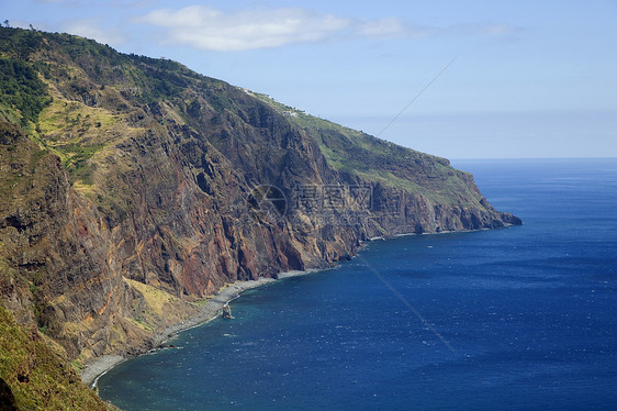 马德拉海滩冲浪动物群海岸线风景自然热带悬崖植物群旅行图片