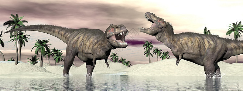 恐龙拳击 3D化身侏罗纪棕榈假牙插图爬虫牙齿动物斗争灭绝沙漠图片