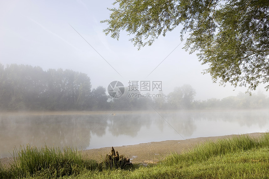 江雾场景阴霾树木衬套蓝色公园森林旅行农村石头图片