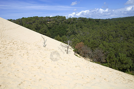 Pyla 南皮拉冒险沙漠脚印旅行脚步地标闲暇海岸沙丘天空图片