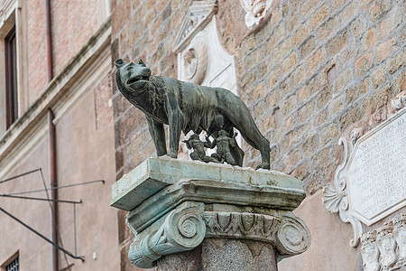 一个喂养罗穆卢斯和雷穆斯的母狼雕塑 罗马 意大利观光帝国大理石艺术故事牛奶母亲神话孩子们大教堂图片