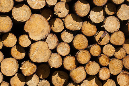 堆积在杜特奇堡垒的木材库存资源树干贮存木头柴堆木工阴影树木烧伤图片
