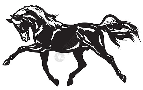 马骑着黑白马血统行动马术动物兽医阉马农场荒野插图赛马图片