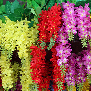 人造花朵农业花瓣花园风光生长公园宏观草地阳光天空图片