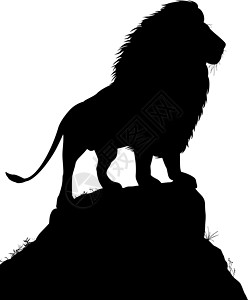 雄狮哺乳动物露头插图男性动物野生动物黑色鬃毛成人图片