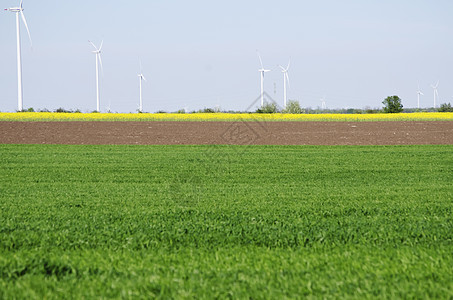春季风景地平线国家农村企业风车土地生长农业农田天空图片