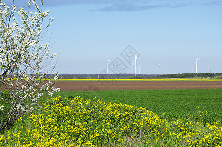 春季风景风车农村乡村农场农田土地生长地平线企业国家图片