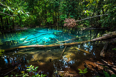 泰国Krabi的翡翠池阳光水池海岸雨林荒野植物石头公园反射热带图片
