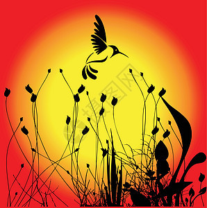 蜂鸣鸟和鲜花艺术插图绘画叶子夹子蜂蜜气候家庭翅膀蜂鸟图片