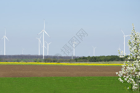 春季风景企业农田乡村农业收成土地生长牧场天空农村图片