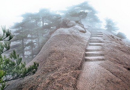 黄山山薄雾树木悬崖石头游客森林山脉国家松树岩石图片