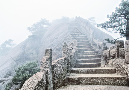 黄山山森林蓝色薄雾顶峰国家旅行山脉岩石树木天气图片