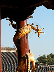 龙庙寺庙装饰品雕像力量财富文化宗教蓝色传统艺术图片