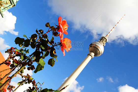 贝尔利电视塔前的鲜花建筑蓝色播送首都天空历史收音机电视天线吸引力图片