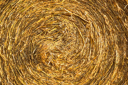 Hay bale 本底季节食物天空稻草农场场地天气国家草地农村图片
