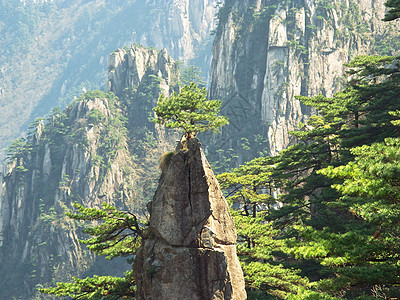 黄山山假期顶峰灌木丛风景窗户悬崖天空树木山脉地标图片