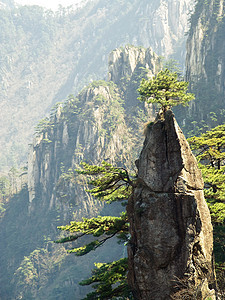 黄山山地标松树悬崖窗户顶峰树木山脉假期旅行风景图片