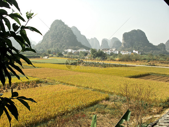 阴阳下中国植物场地收成村庄边缘梯田国家爬坡农场房子图片