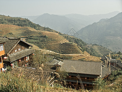 阴阳下中国旅行村庄房子风景边缘植物竹子农村爬坡收成图片