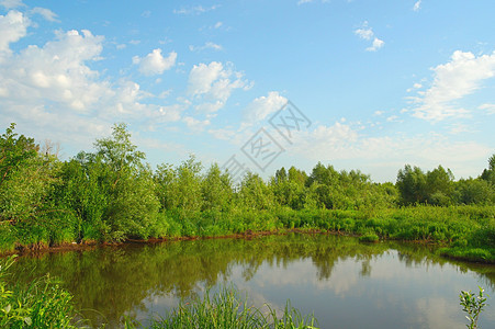 美丽的夏季风景池塘乡村叶子旅行晴天阳光公园季节森林场地图片