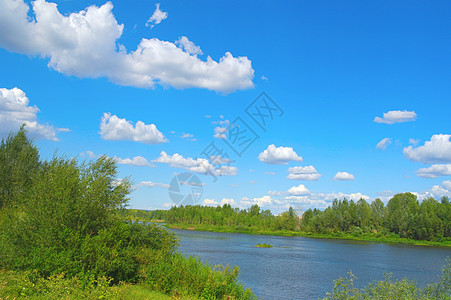 美丽的夏季风景蓝色公园乡村场地池塘天空木头叶子绿色反射图片