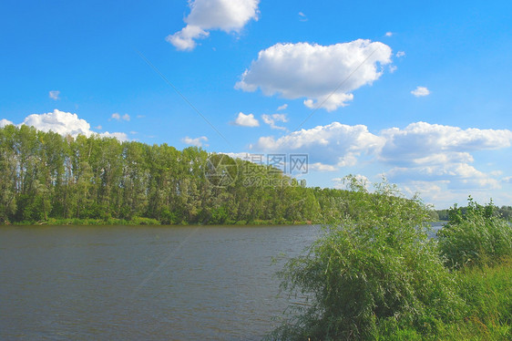 美丽的夏季风景与河流叶子池塘公园阳光场地反射草地木头蓝色季节图片